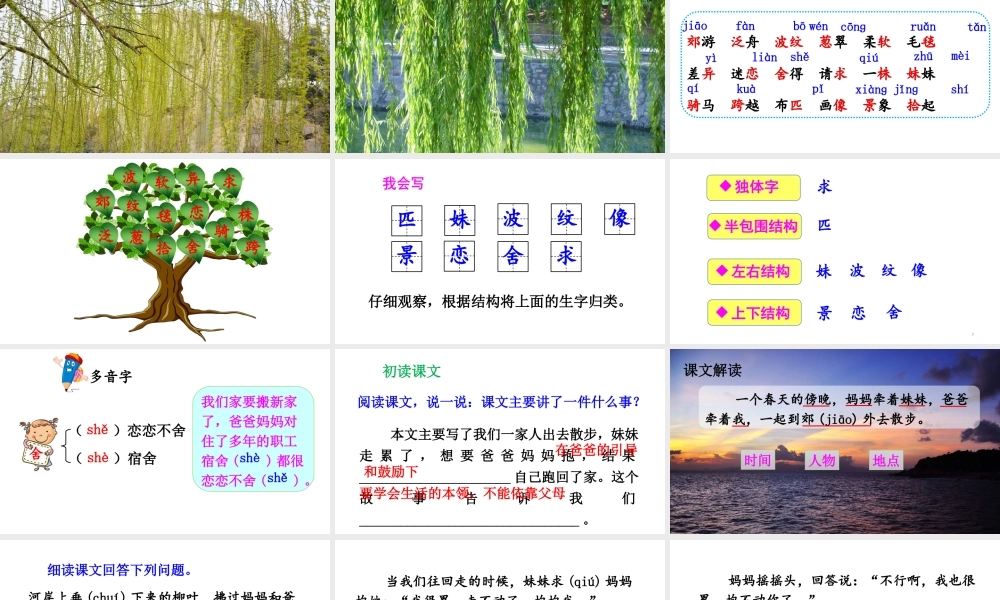 《7 一匹出色的马 》 第7套（省一等奖）优质课.ppt