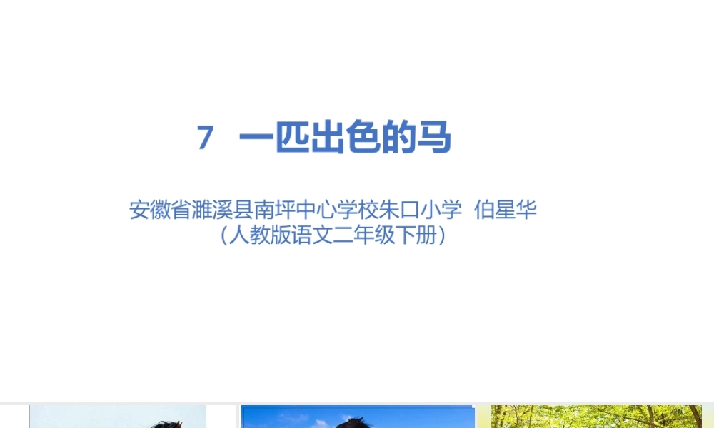 《7 一匹出色的马2》优质课.pptx