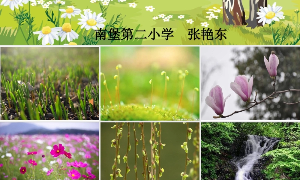 《2 找春天 》 第4套（省一等奖）优质课.ppt