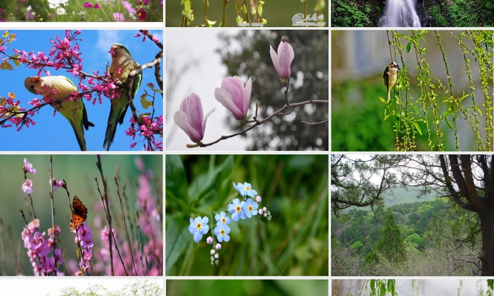 《2 找春天 》 第4套（省一等奖）优质课.ppt