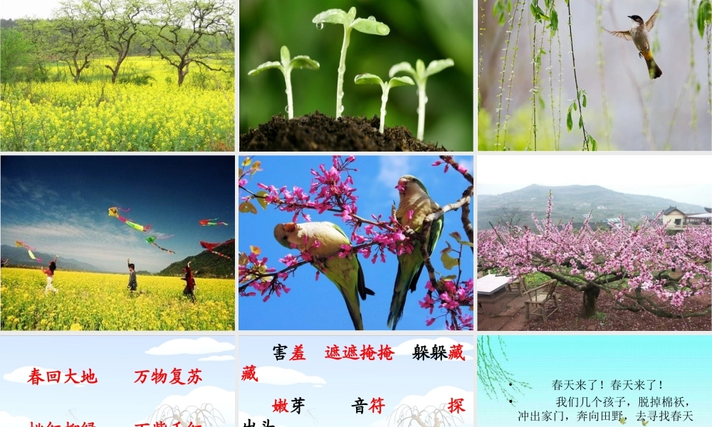 《2 找春天 》 第4套（省一等奖）优质课.ppt