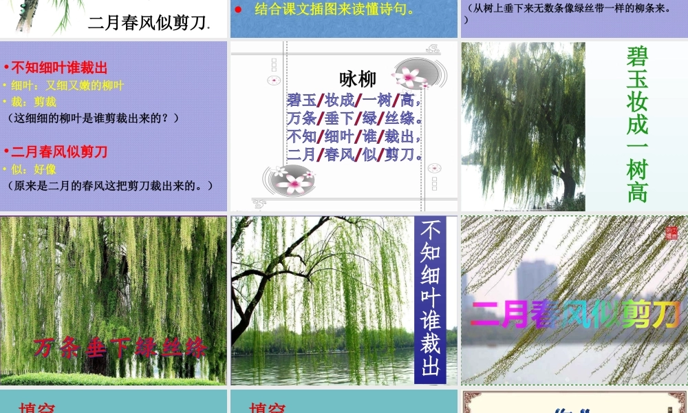 《1 古诗二首 咏柳》 第2套（省一等奖）优质课.ppt