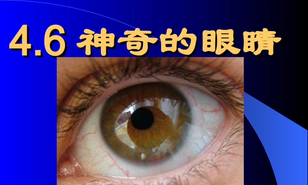 [名校联盟]江西省赣县第二中学八年级物理《46神奇的眼睛》课件.ppt
