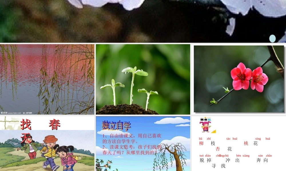《2 找春天 》 第7套（省一等奖）优质课.ppt