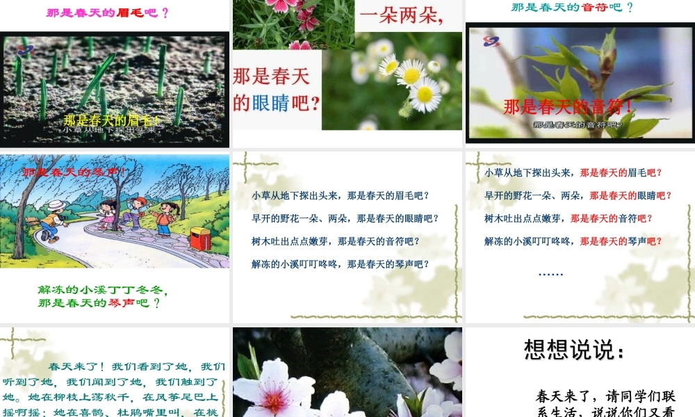 《2 找春天 》 第7套（省一等奖）优质课.ppt