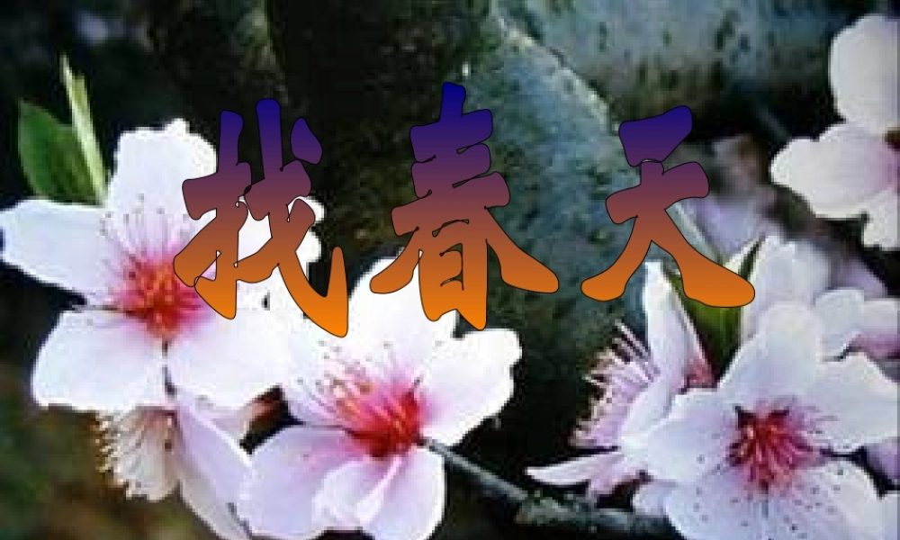 《2 找春天2》优质课.ppt