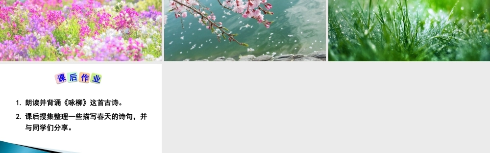 《1 古诗二首 咏柳》 第10套（省一等奖）优质课.ppt