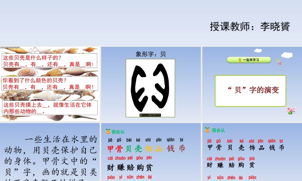 《3 “贝”的故事 》 第1套（国家一等奖）优质课.ppt