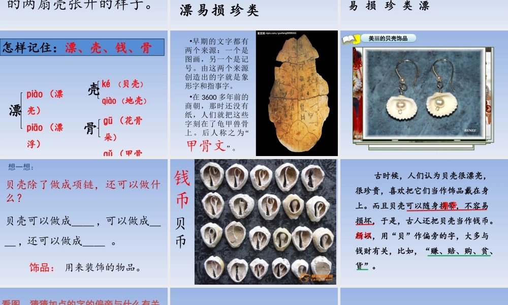 《3 “贝”的故事 》 第1套（国家一等奖）优质课.ppt