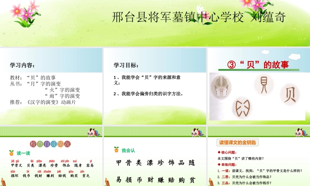 《3 “贝”的故事1》优质课.ppt