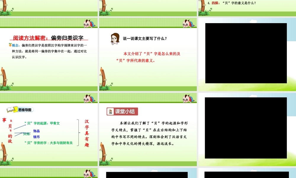 《3 “贝”的故事1》优质课.ppt