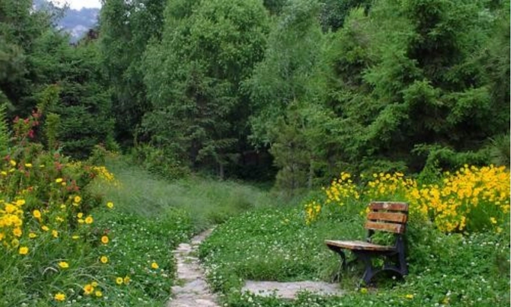 《3 开满鲜花的小路 》 第2套（国家一等奖）优质课.ppt