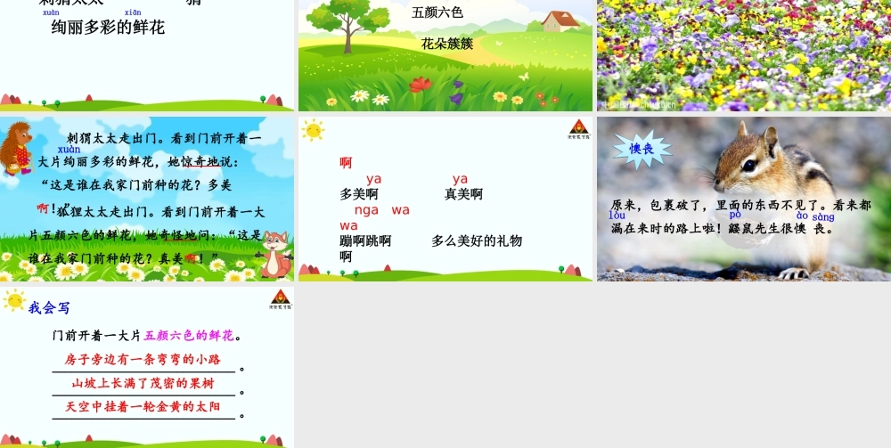 《3 开满鲜花的小路 》 第7套（省一等奖）优质课.ppt