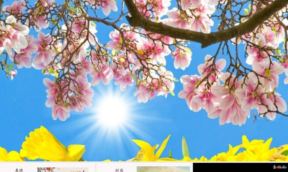 《1 古诗二首 咏柳》 第9套（省一等奖）优质课.pptx