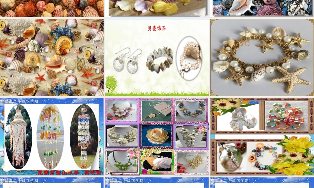 《3 “贝”的故事 》 第4套（省一等奖）优质课.pptx