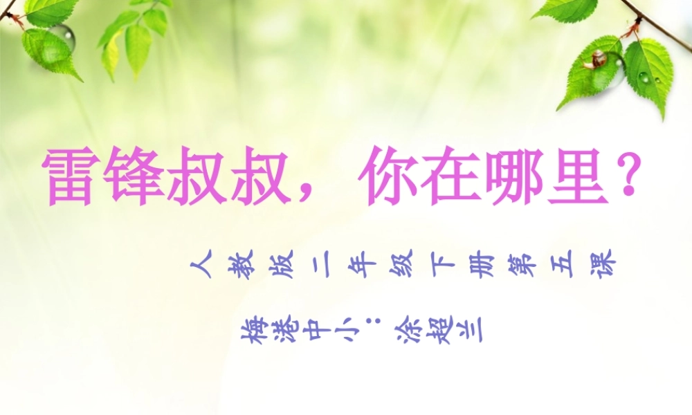 《5 雷锋叔叔你在哪里6》【涂老师】【省级】优质课.pptx