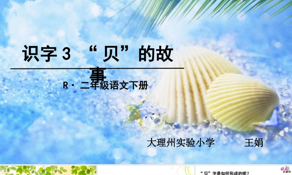 《3 “贝”的故事 》 第9套（省一等奖）优质课.ppt