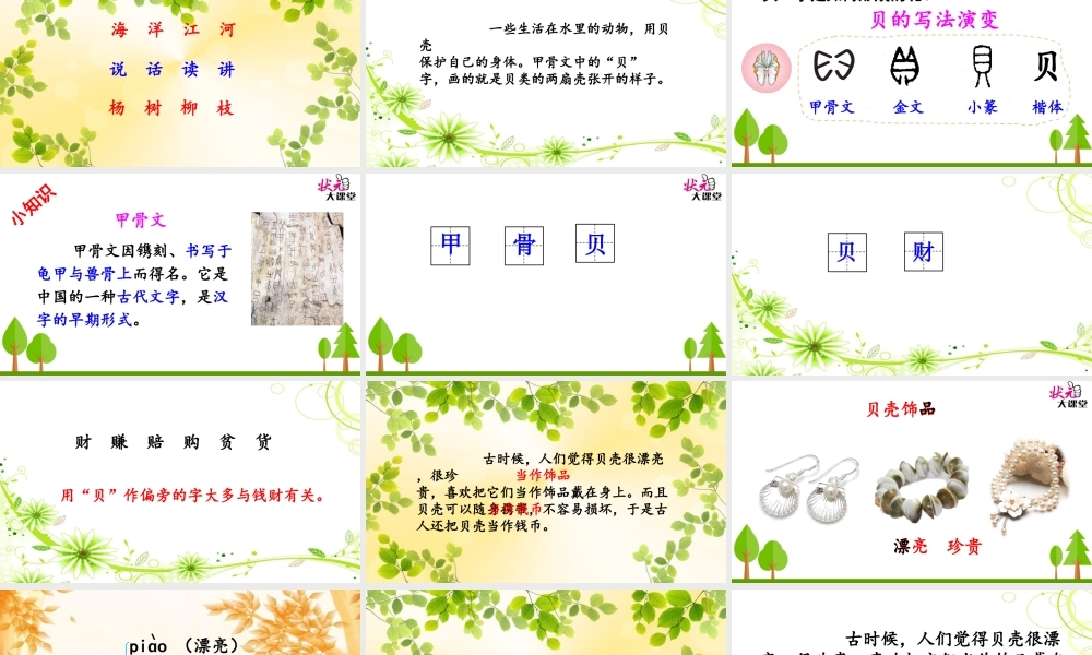 《3 “贝”的故事 》 第9套（省一等奖）优质课.ppt