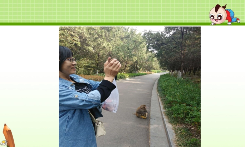 《9 枫树上的喜鹊》 第4套（国家一等奖）优质课.pptx