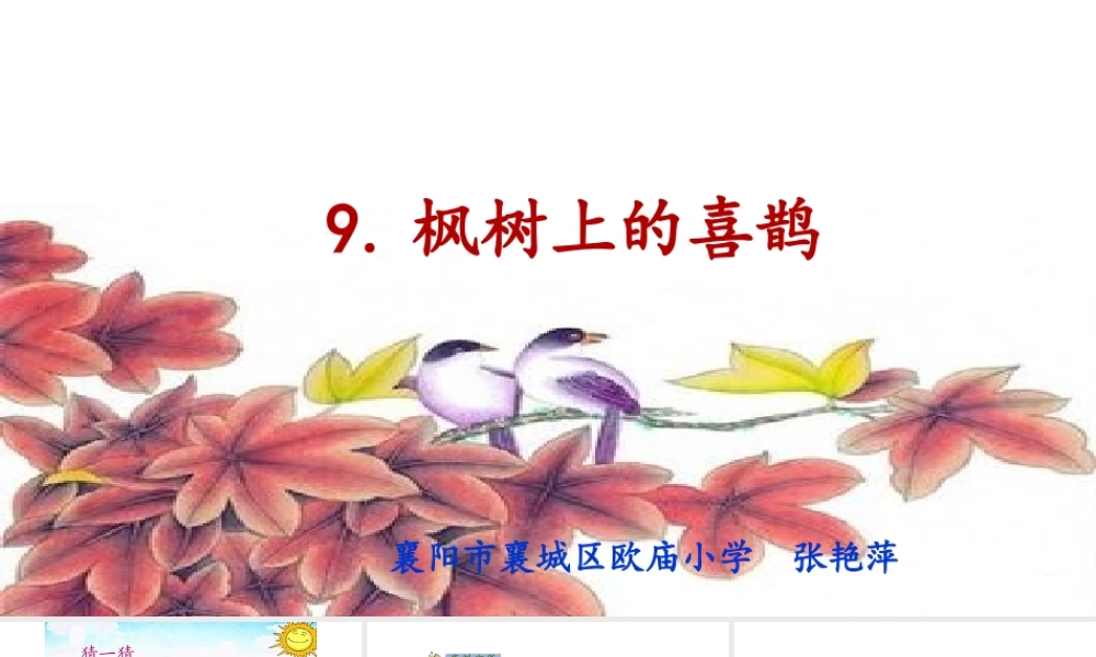 《9 枫树上的喜鹊 》 第6套（省一等奖）优质课.pptx