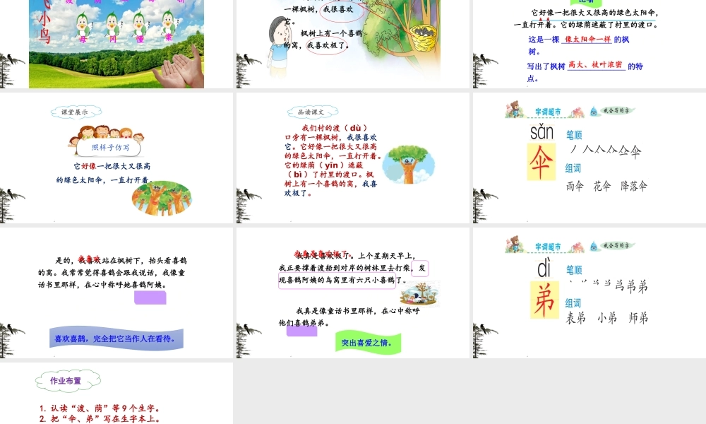 《9 枫树上的喜鹊 》 第6套（省一等奖）优质课.pptx