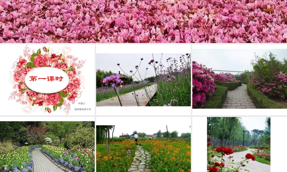 《3 开满鲜花的小路 》 第10套（国家一等奖）优质课.ppt