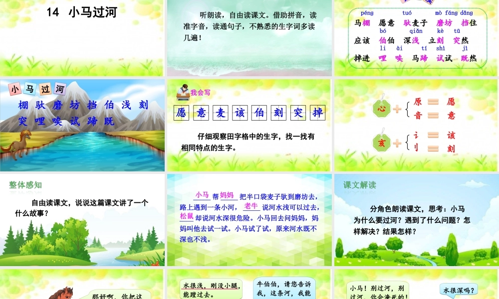《14 小马过河 》 第9套（省一等奖）优质课.ppt