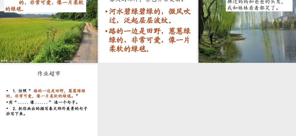 《7 一匹出色的马 》 第1套（省一等奖）优质课.ppt