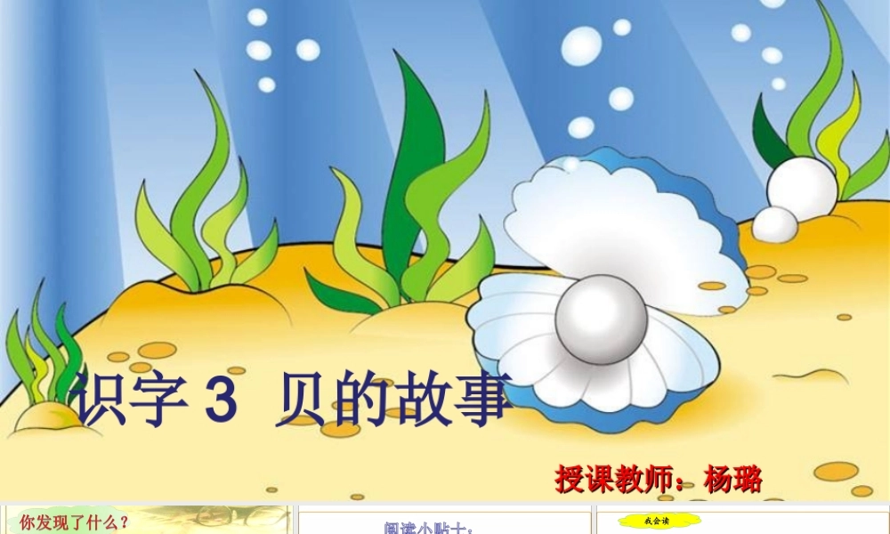 《3 “贝”的故事 》 第3套（国家一等奖）优质课.ppt