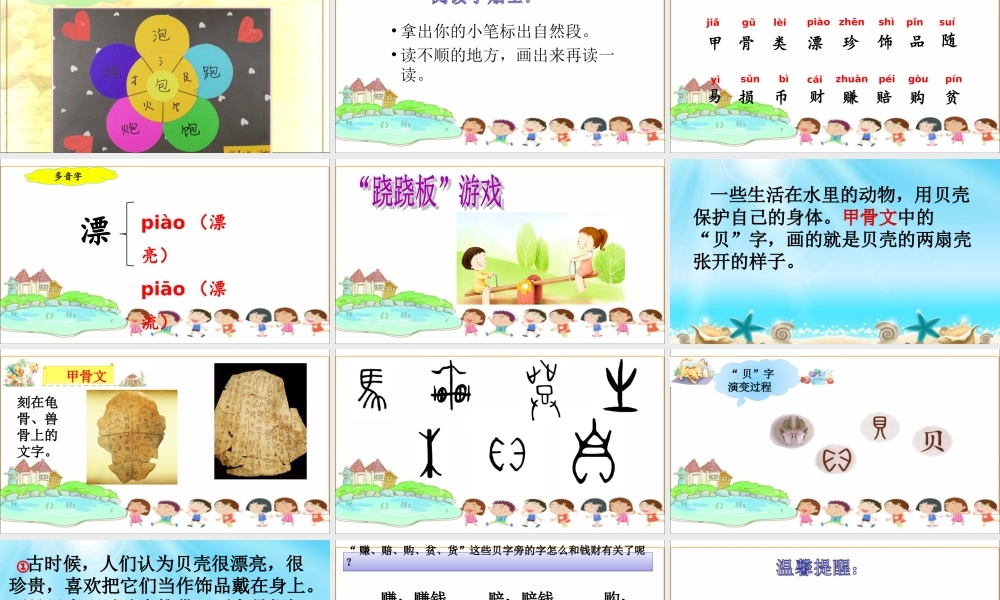 《3 “贝”的故事 》 第3套（国家一等奖）优质课.ppt