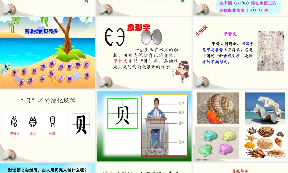 《3 “贝”的故事 》 第8套（省一等奖）优质课.pptx