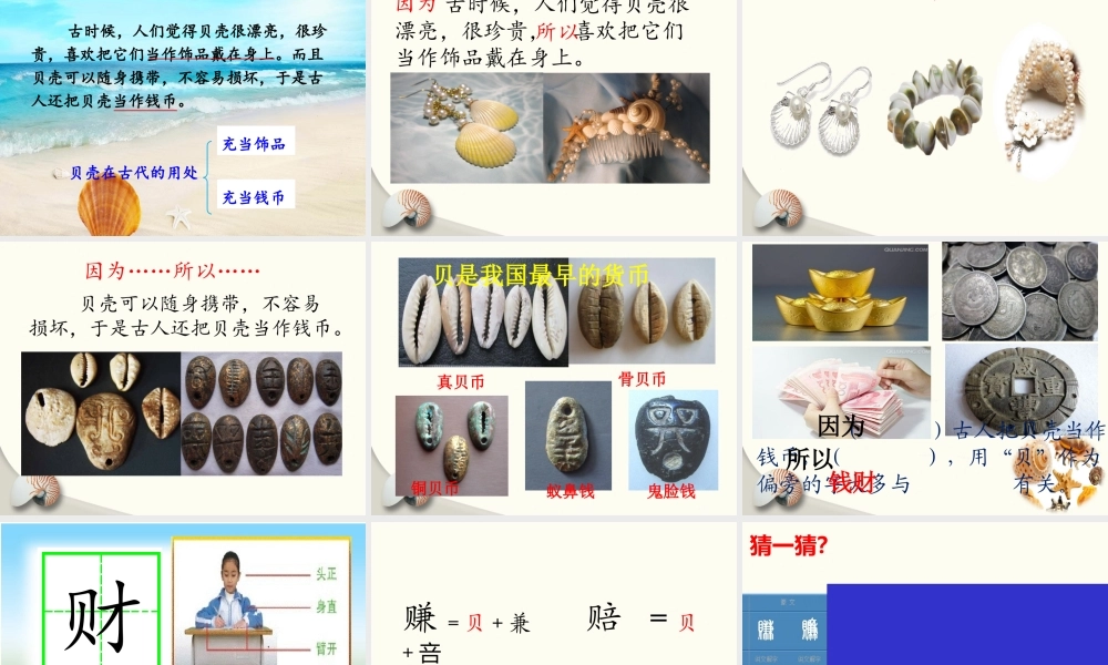 《3 “贝”的故事 》 第8套（省一等奖）优质课.pptx