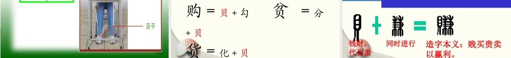 《3 “贝”的故事 》 第8套（省一等奖）优质课.pptx
