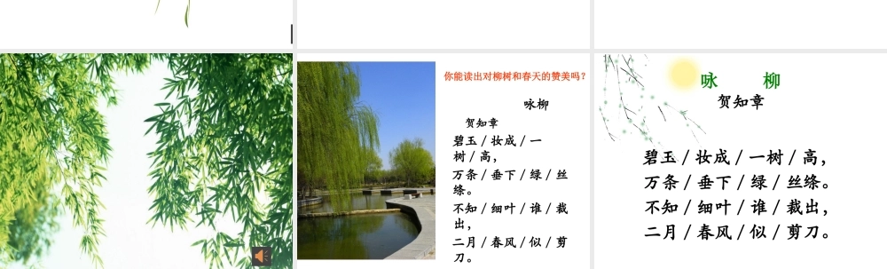 《1 古诗二首 咏柳》 第6套（国家一等奖）优质课.pptx