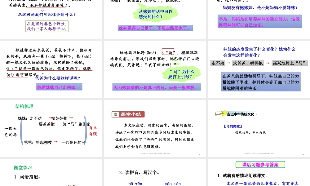 《7 一匹出色的马1》优质课.ppt