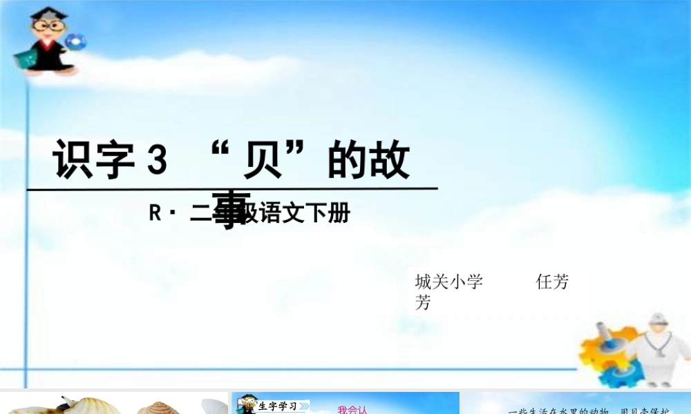 《3 “贝”的故事3》优质课.ppt