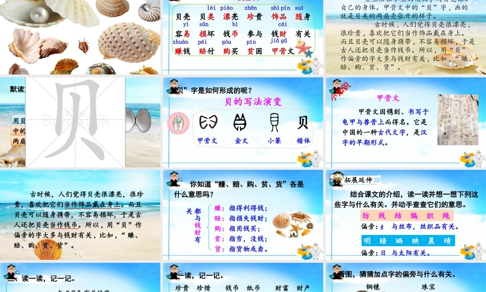 《3 “贝”的故事3》优质课.ppt