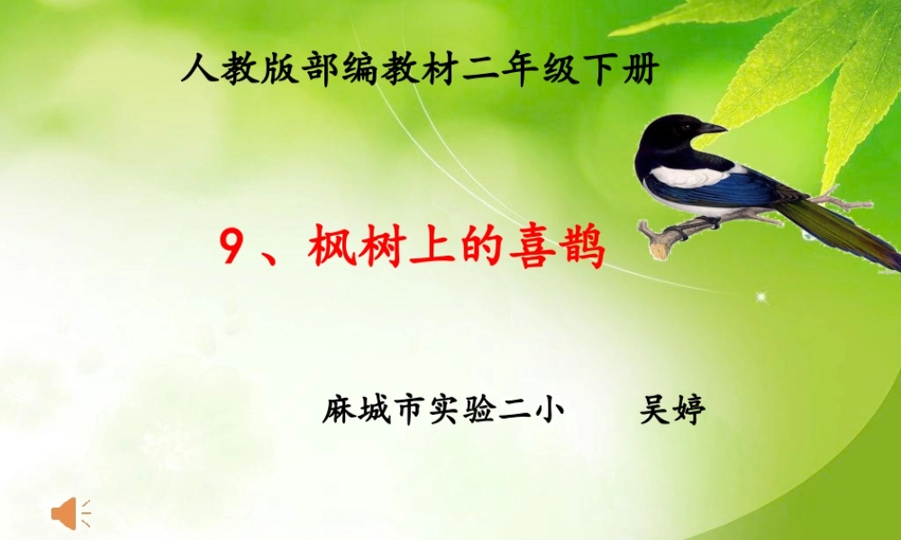 《9 枫树上的喜鹊 》 第5套（省一等奖）优质课.ppt