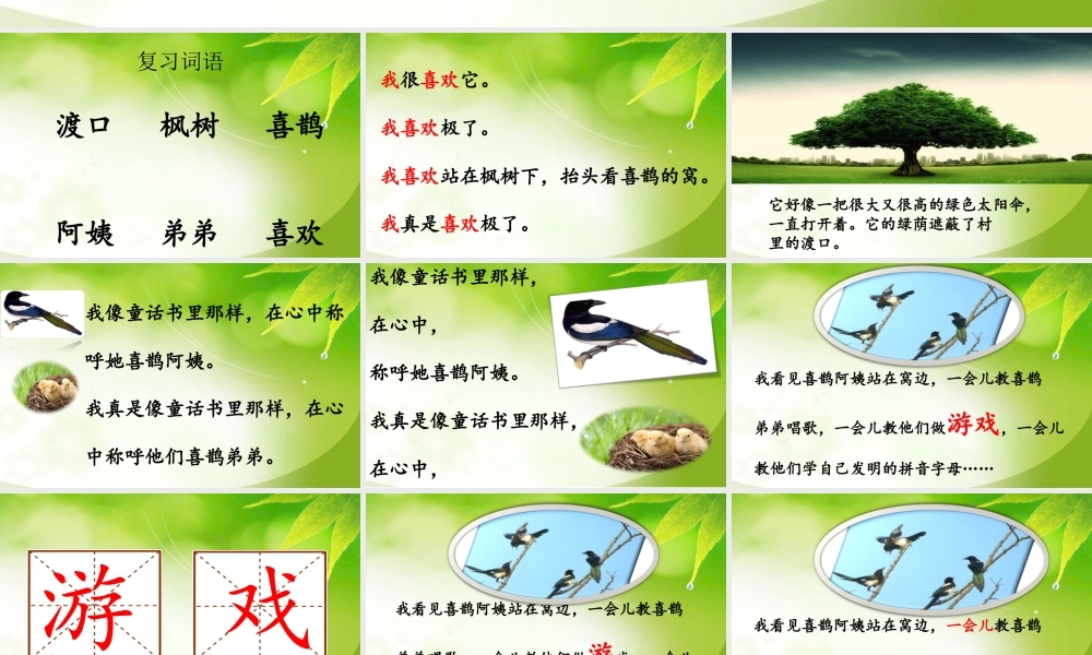 《9 枫树上的喜鹊 》 第5套（省一等奖）优质课.ppt