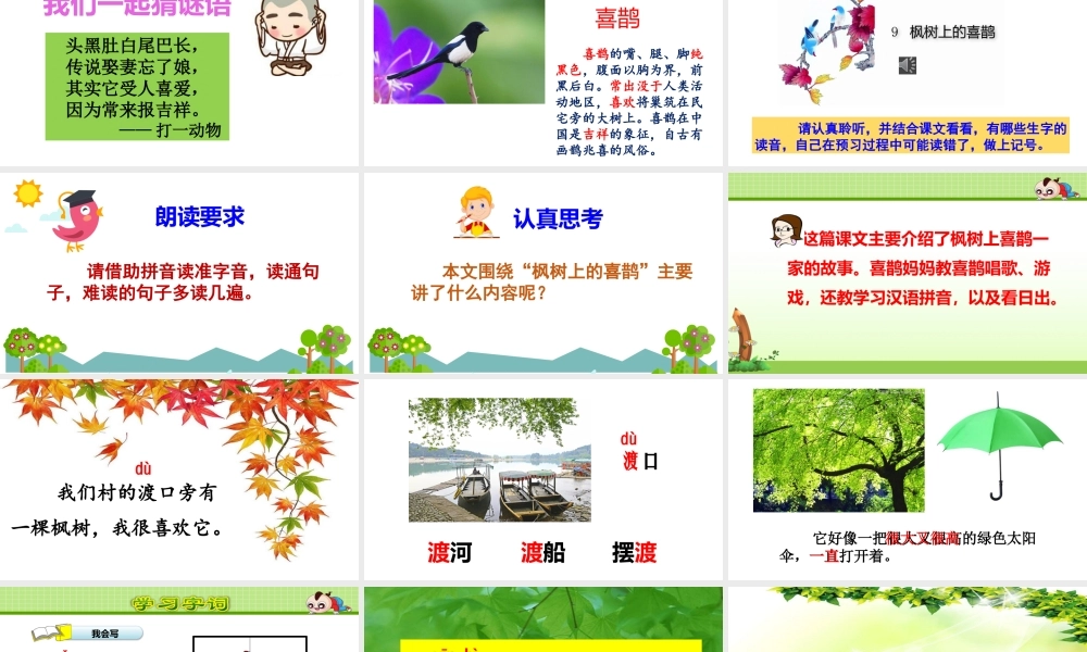 《9 枫树上的喜鹊 》 第10套（省一等奖）优质课.pptx