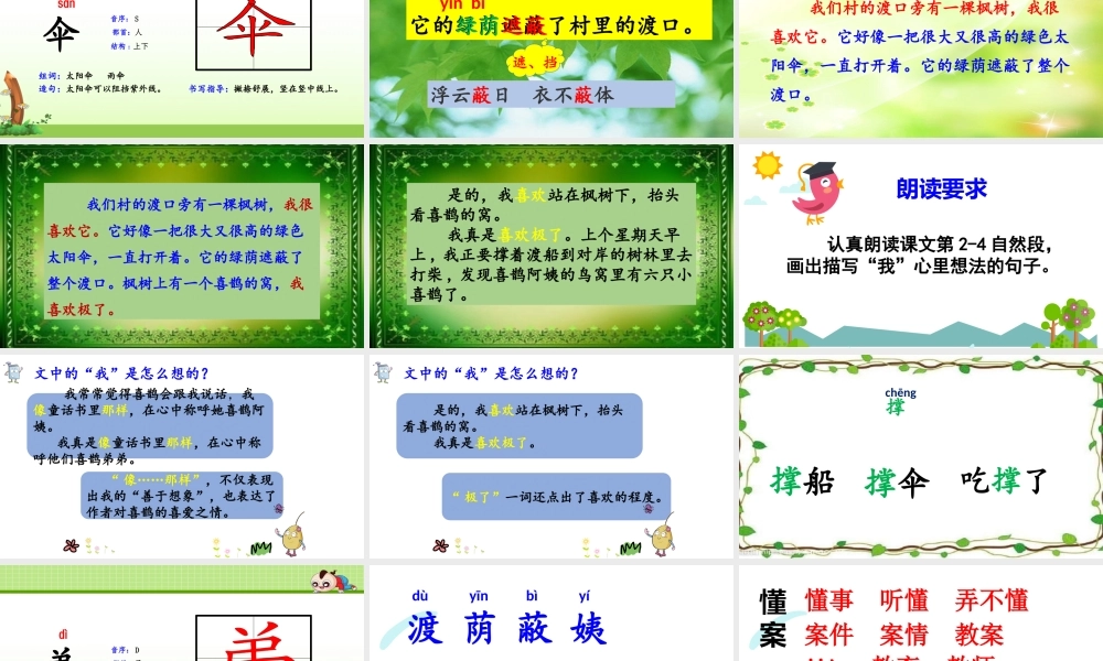《9 枫树上的喜鹊 》 第10套（省一等奖）优质课.pptx