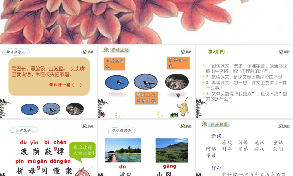 《9 枫树上的喜鹊 》 第9套（省一等奖）优质课.ppt