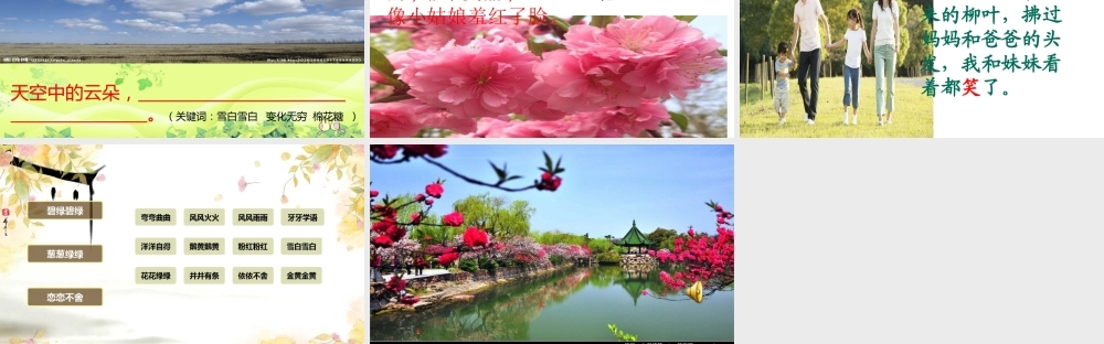 《7 一匹出色的马 》 第4套（省一等奖）优质课.ppt