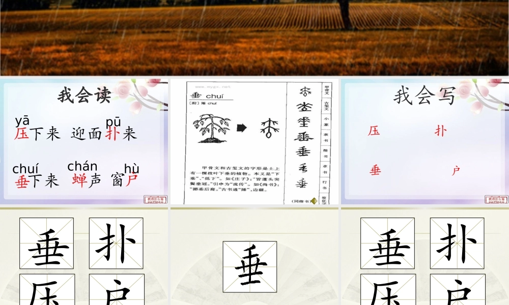 《16 雷雨 》 第8套（省一等奖）优质课.pptx