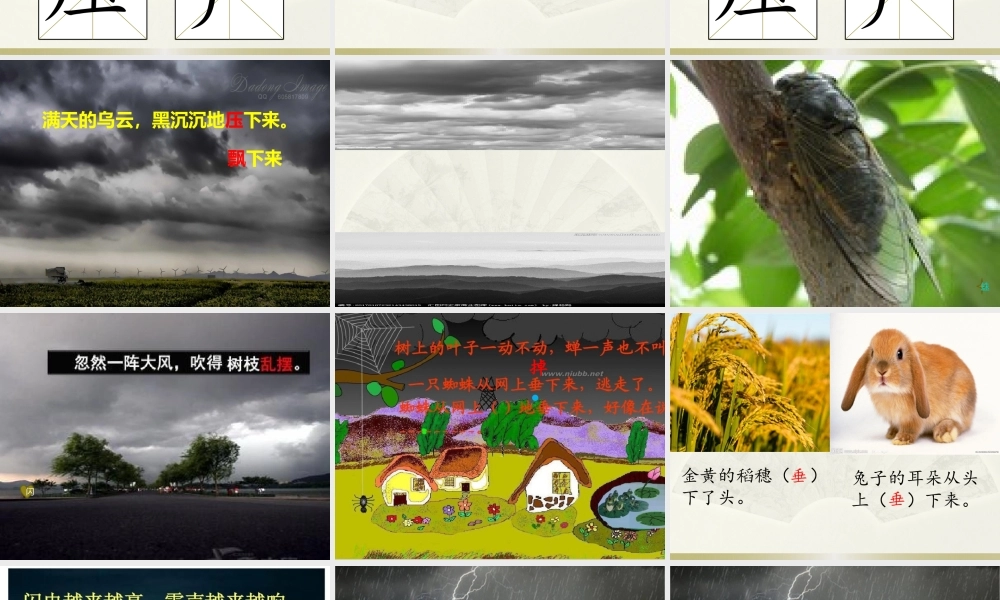 《16 雷雨 》 第8套（省一等奖）优质课.pptx