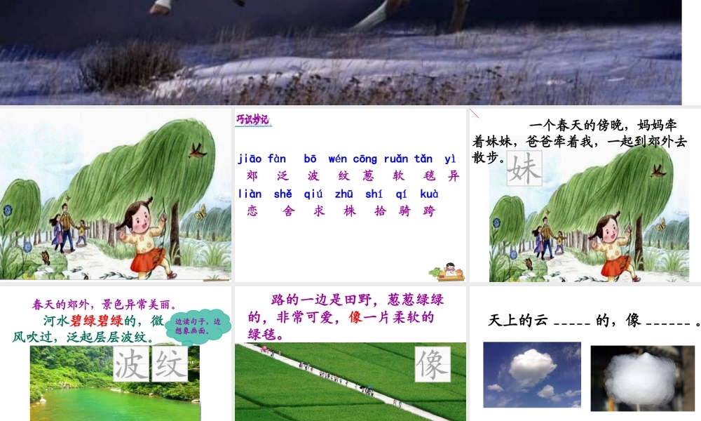 《7 一匹出色的马 》 第9套（国家一等奖）优质课.ppt