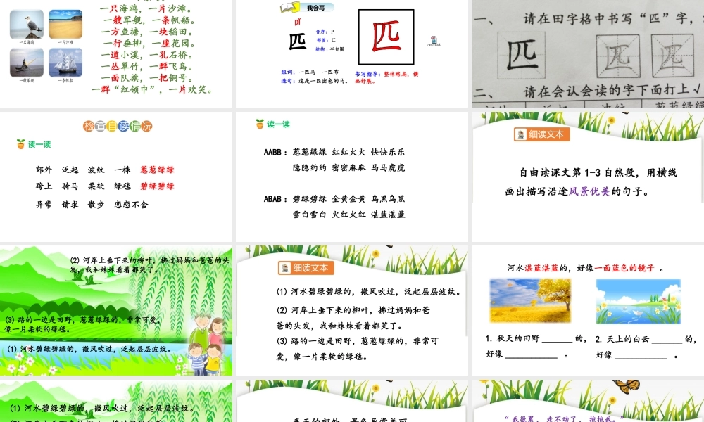 《7 一匹出色的马4》【陈老师】【省级】优质课.pptx