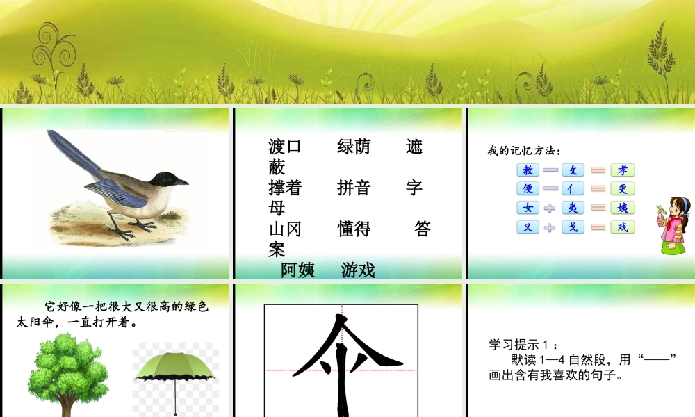 《9 枫树上的喜鹊6》【唐老师】【省级】优质课.pptx