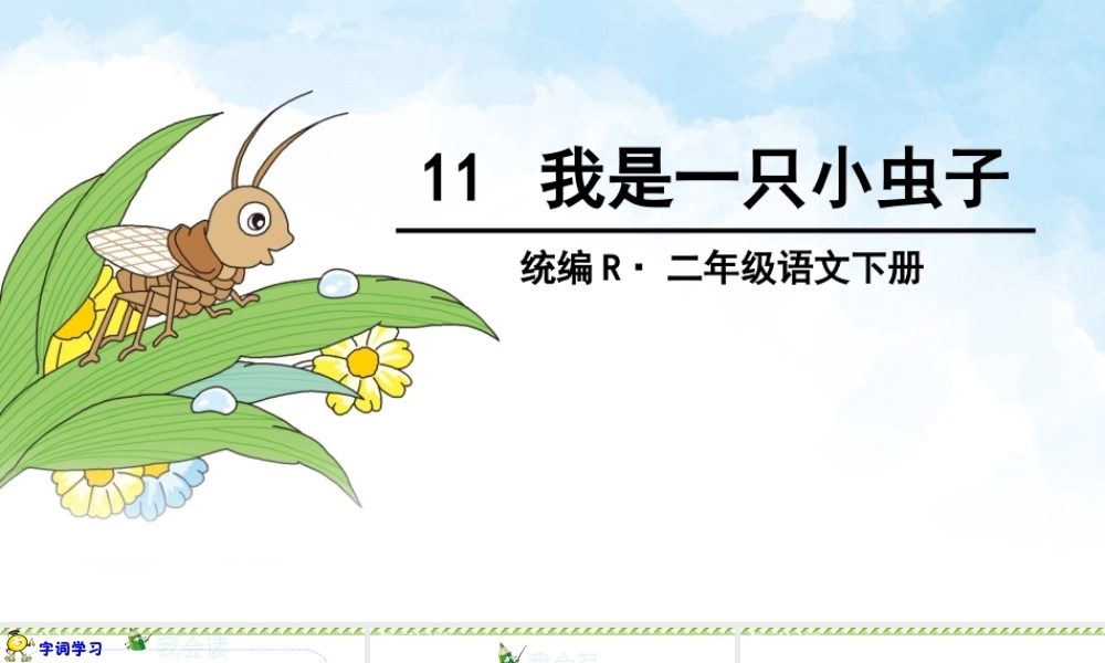 《11 我是一只小虫子 》 第4套（省一等奖）优质课.pptx
