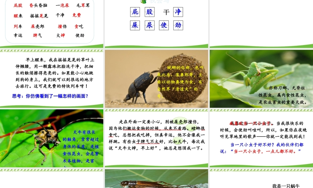 《11 我是一只小虫子 》 第4套（省一等奖）优质课.pptx